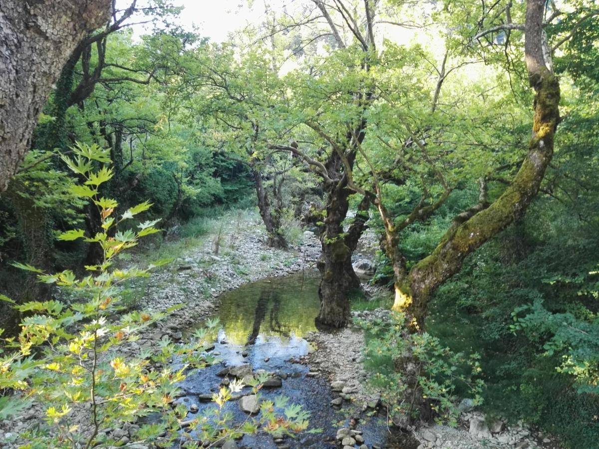 Kalívia Cosy Lake House, Μια Ανάσα Πριν Τη Λίμνη מראה חיצוני תמונה