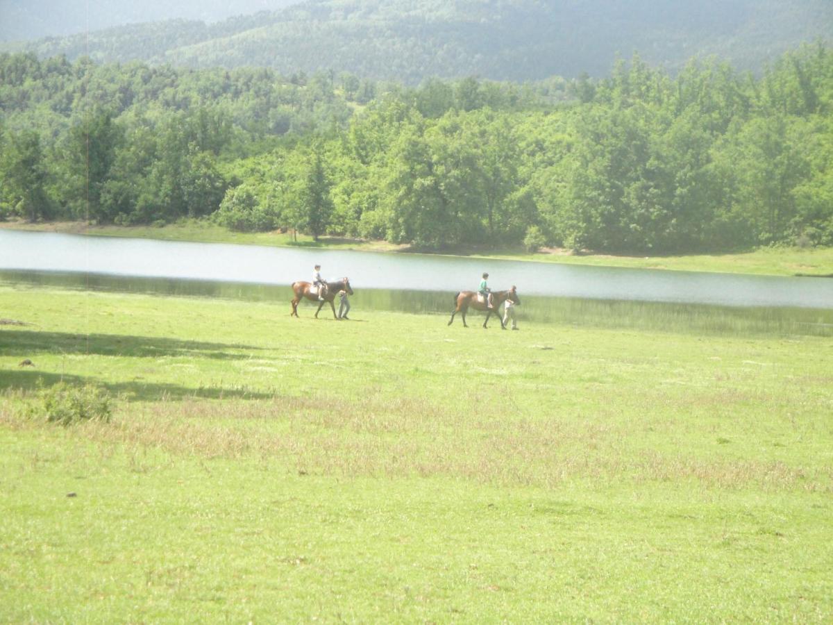 Kalívia Cosy Lake House, Μια Ανάσα Πριν Τη Λίμνη מראה חיצוני תמונה